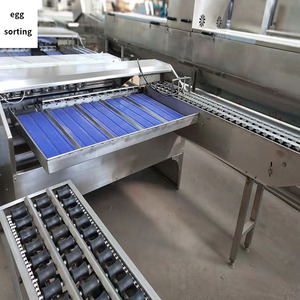Máquina clasificadora automática de huevos de pato de alta eficiencia/Clasificador de huevos de 10000 piezas por hora/máquina clasificadora electrónica de huevos - Product Image 6