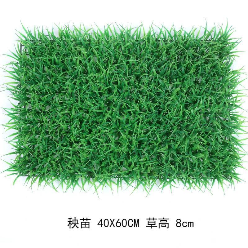 Seedling 40*60cm