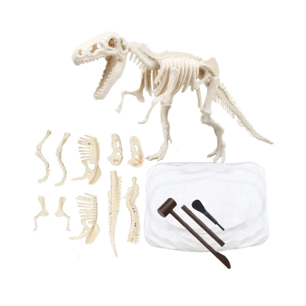 Diy Model Assemblage Speelgoed Opgraving Dinosaurus Fossiel Skelet Archeologische Graven Speelgoed