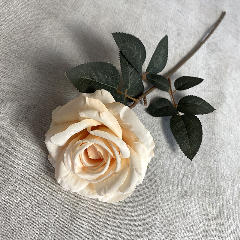 Champán