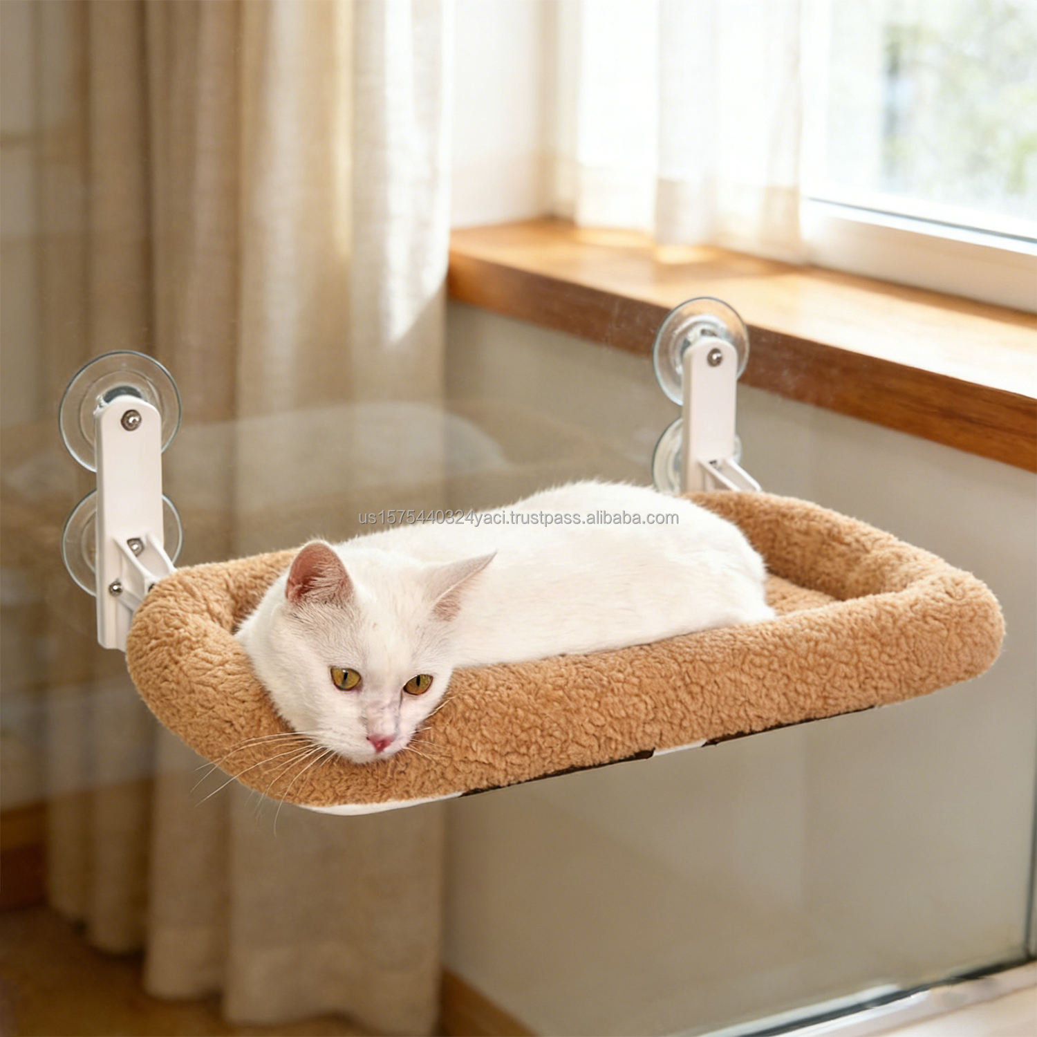 สีน้ำตาล