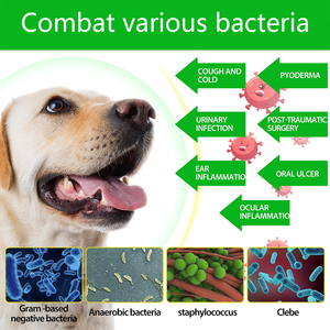 60ml integratore multivitaminico cane per la cura degli animali domestici integratore sanitario essenziale per il benessere canino - Product Image 6