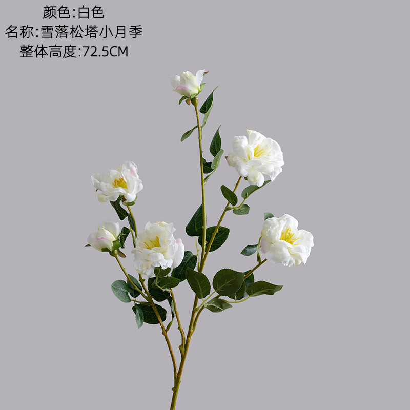 Blanc