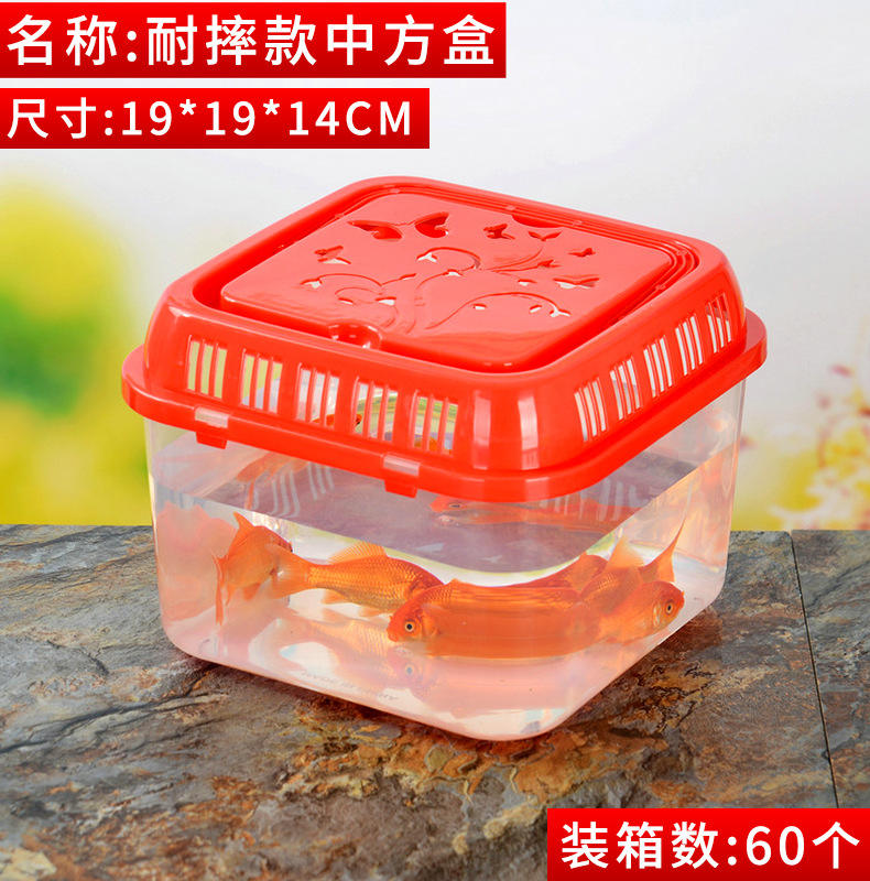 Boîte de style chinois incassable en PP-191914cm-60pcs/paquet