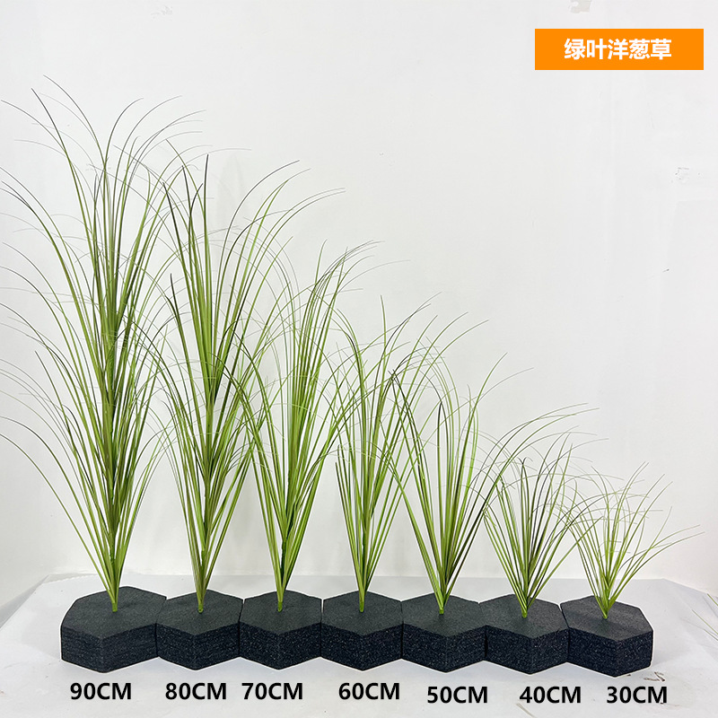 Herbe d'oignon vert