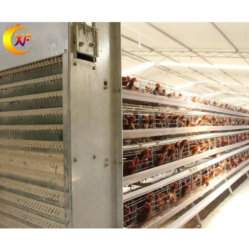 Geflügelfarm-Ausrüstung Geflügelhaus Typ A 10000 Schicht Geflügel Hühnerfarm Vogelschicht Käfig zu verkaufen