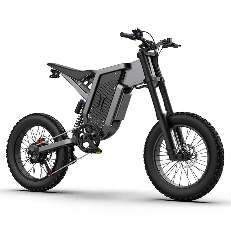 EKX X21 Elektro fahrrad 20 Zoll Fett reifen Offroad Ebike 2000W 48V Leistungs starkes Mountainbike für Erwachsene Radfahren E BIKE
