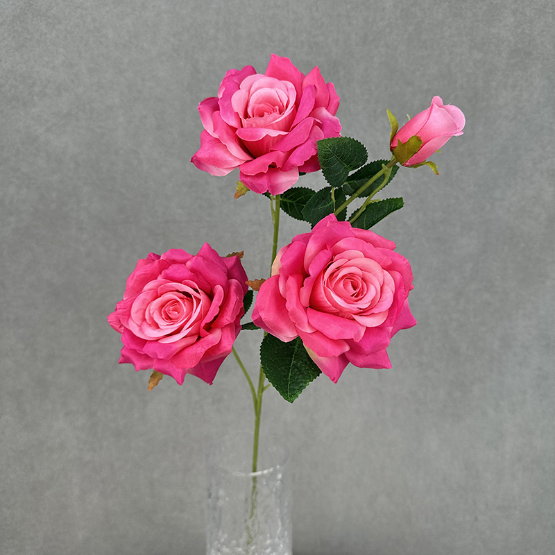 Rose garance