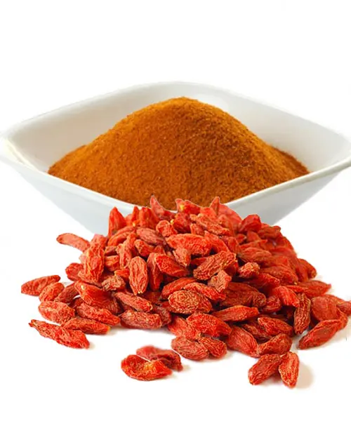 Polvere di bacche di Goji biologica vendita calda all'ingrosso polvere di Wolfberry FD in polvere