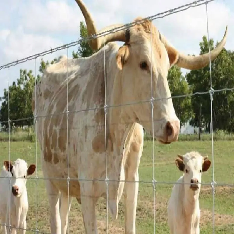 Clôture de champ galvanisée de prix bon marché de 1.2m pour la chèvre et le bétail