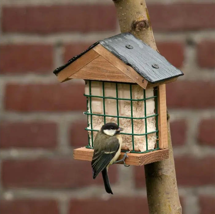 Taille: 7x17.5x16.5cm