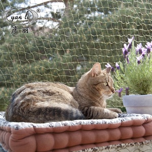 Tùy Chỉnh Dịch Vụ Chế Biến Trong Suốt Nylon PP Chất Liệu Ban Công An Toàn <span class=keywords><strong>Net</strong></span> Dây Thép Gia Cố Mèo Bảo Vệ <span class=keywords><strong>Net</strong></span> - Product Image 1