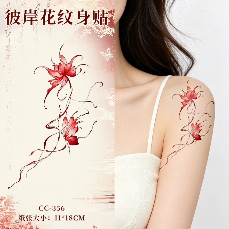 Cc-356- 18x11cm