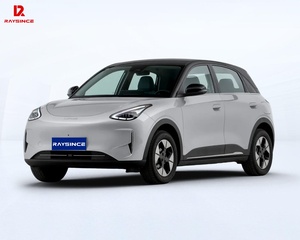 Çin'de yapılan Raysince elektrikli SUV arabalar yetişkin sıcak satış için <span class=keywords><strong>4</strong></span> koltuk <span class=keywords><strong>2025</strong></span>