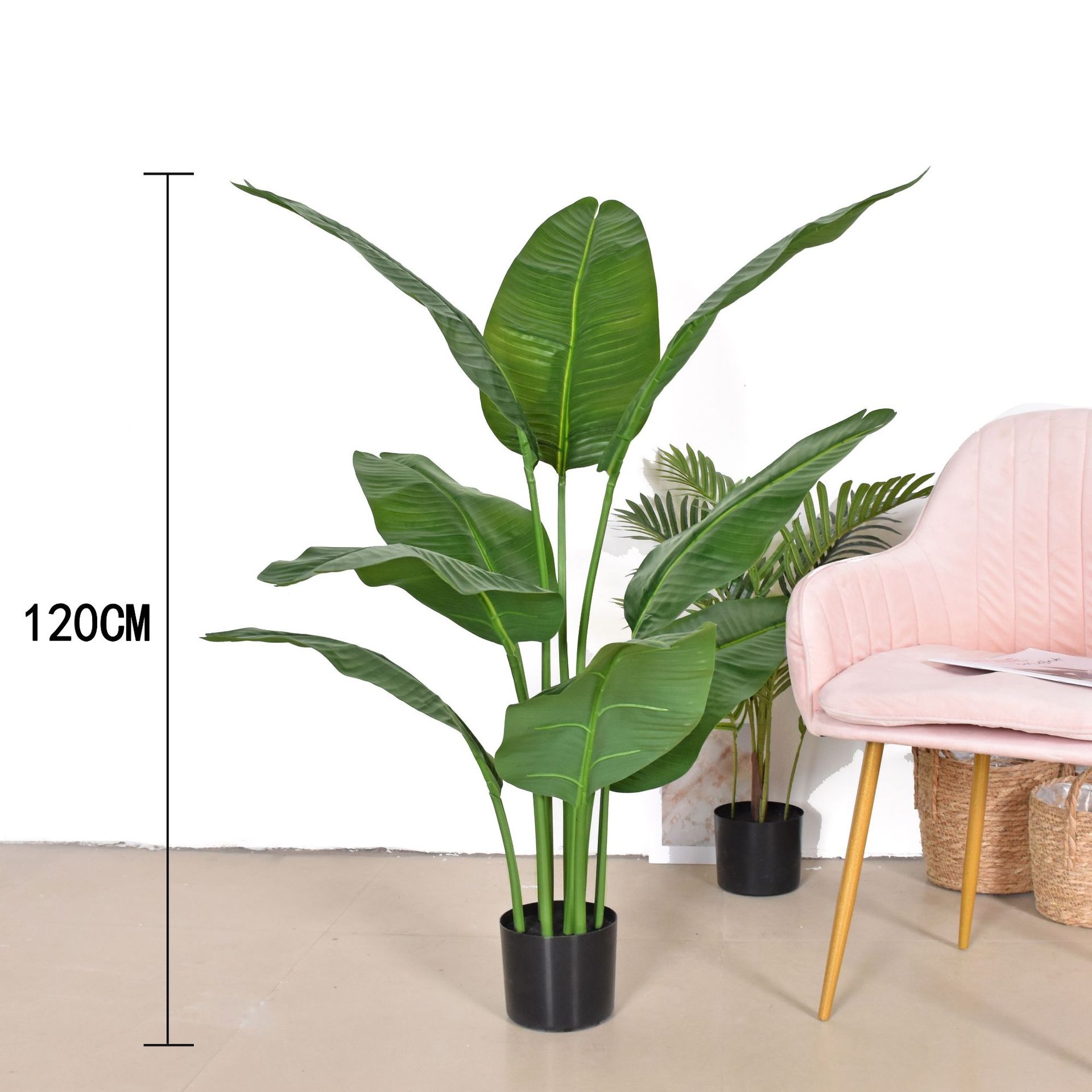 12m-bird of paradise 9 leaves simulation