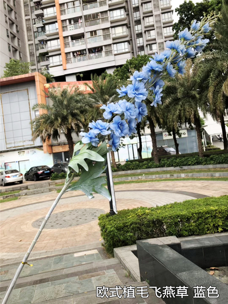 6 blue flowers