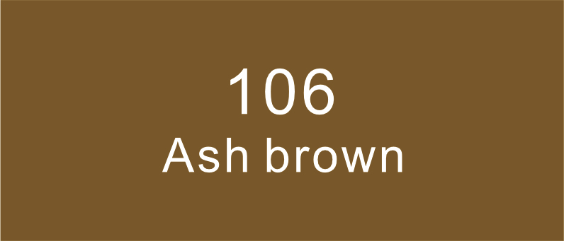 106 สีน้ำตาลแอช