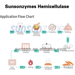 Baking <span class=keywords><strong>xylanase</strong></span> Enzyme cho bột điều hòa, Tăng khối lượng bánh mì - Product Image 3