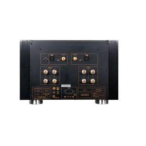 ToneWinner-Amplificador de circuito profesional HiFi Full Balance Clase A, potencia de salida de 300W/8Ω en cada canal
