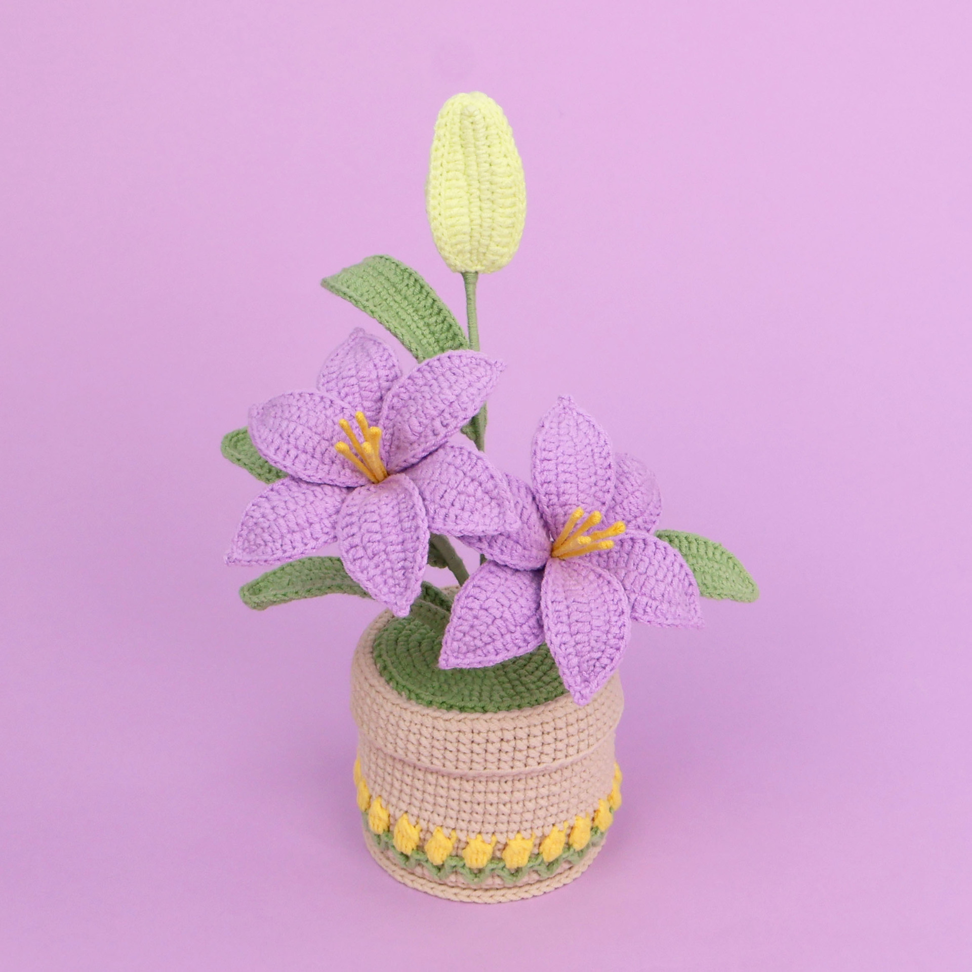 Purple-snow five double-headed lily-tulip lace column pot