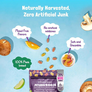 Hot bán sư tử bờm nấm Gummies 2500mg với Ashwagandha tăng Tập Trung Bộ nhớ khả năng miễn dịch hỗ trợ nấm Gummies - Product Image 6