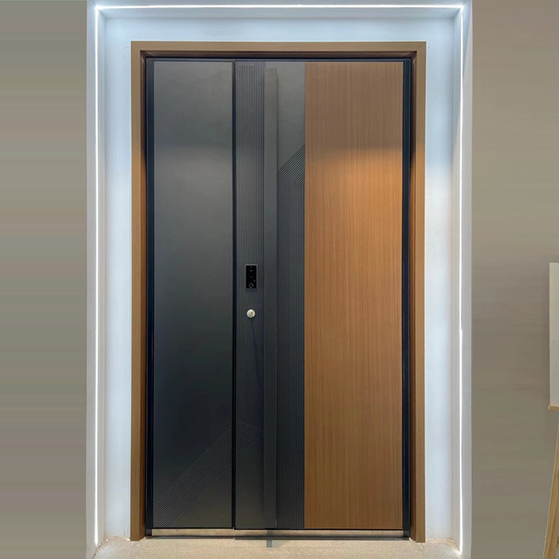 Double-sided luxury cast aluminum door