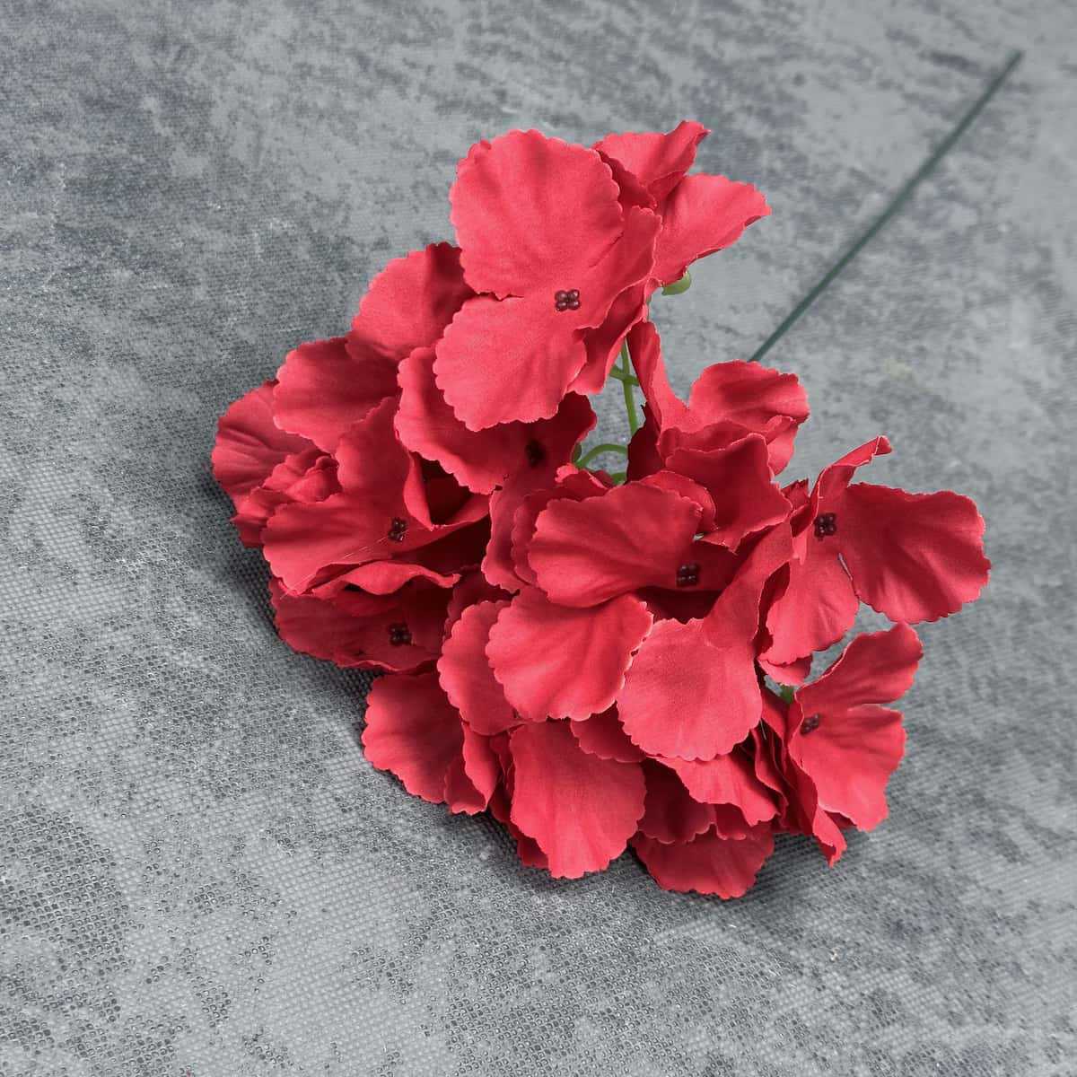 Nouveau - Grand Rouge avec branches