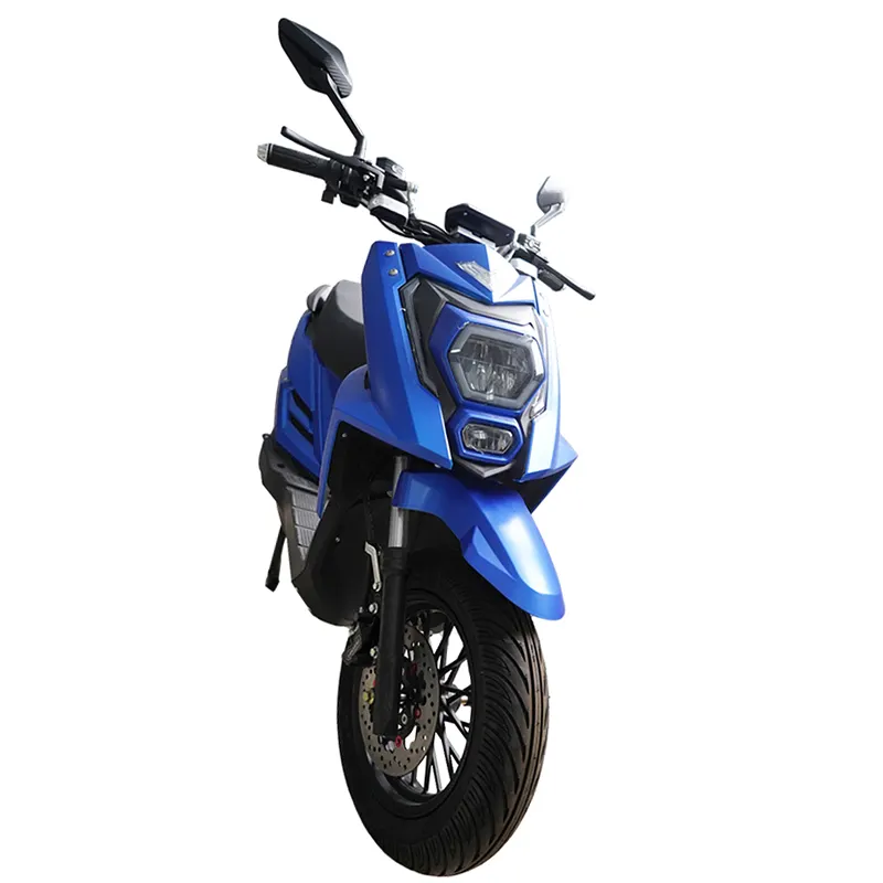 Hoge Snelheid 1000W 60V Loodzuuraccu E-Scooter Elektrische Scooter Motorfiets Met Tweezits E Scooter Voor Volwassenen