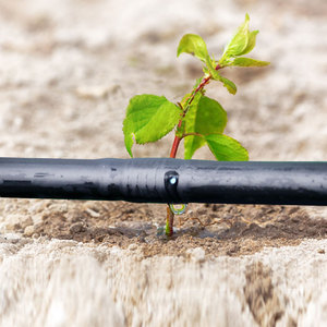 <strong>HDPE</strong> Drip Irrigation Pipe Line Kits for Papaya Irrigation System