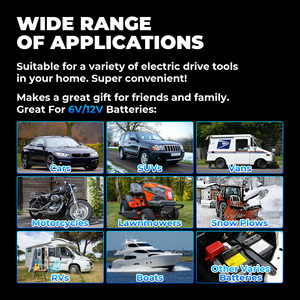 TOPDON TB8000 12 v 6v onarım pil şarj cihazı taşınabilir araç aküsü şarj ı ı ı ı ı ı ı ı ı ı ı ı ı ı ı ı ı ı ı ı iyon Lifepo4 pil şarj cihazı deşarj test cihazı 12 V - Product Image 2