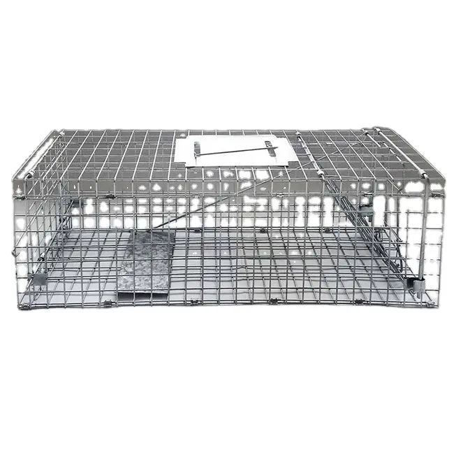 Malha de arame galvanizado Folding tipo Live-Catch Trap Cages