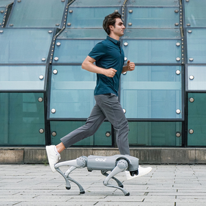 Unitree Go2 Edu cane robotico intelligente Design a 4 zampe cane Robot elettronico programmabile e sviluppabile cane Robot