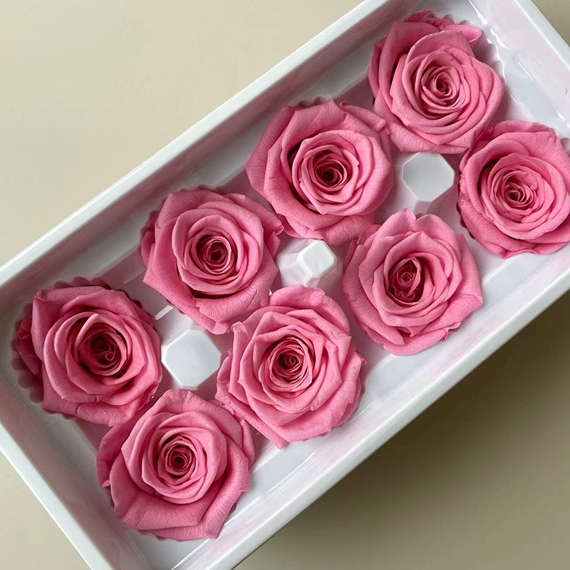 rosa dulce