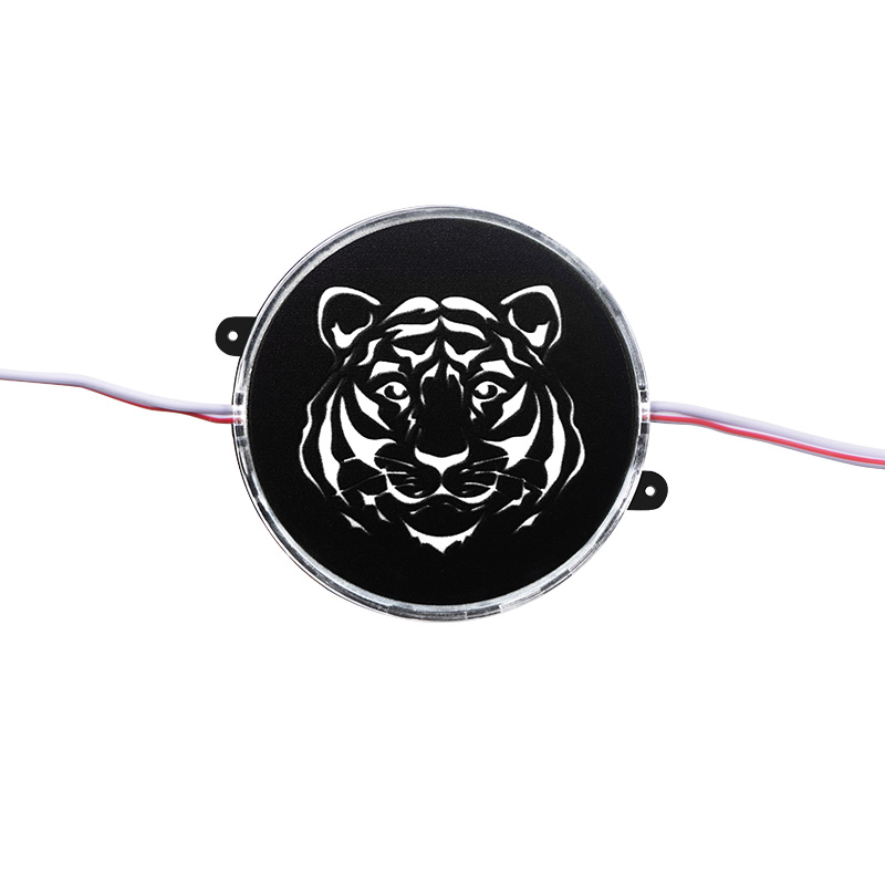 Modello tigre