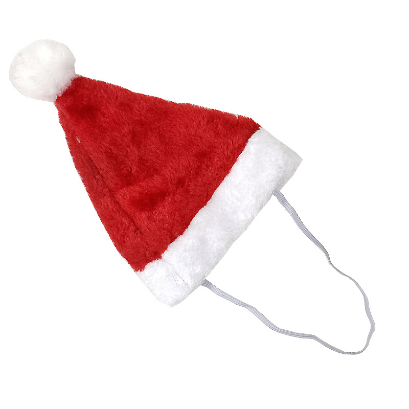 Pet hat