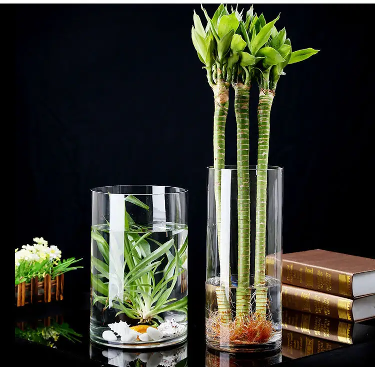 Vase cylindrique en verre transparent pour palier, vase de grande taille, Simple et épaissi, ornements décoratifs