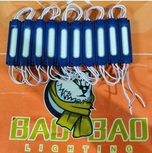 Bao fantezi işık IP67 IP65 su geçirmez 12V modüler LED ışık SMD 2835 yeşil pembe 5 W modülü açık işaretler bisiklet dekorasyon için - Product Image 3