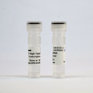 Tinzyme <strong>T7</strong> High Yield RNA Transcription Kit Using <strong>T7</strong> RNA <strong>Polymerase</strong> - Product Image 4