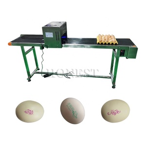 Hoch produktive Eier datums drucker Druckmaschine/Druckmaschinen auf Eiern/Hühnerei-Datums stempel maschine - Product Image 6