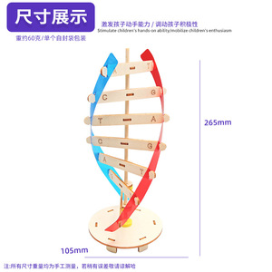 Küçük DIY İnsan gen DNA çift sarmal modeli için biyolojik bilim deneyleri ahşap teknoloji bilim öğretim yardımcıları için - Product Image 4