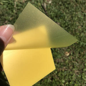 Ý tưởng quà tặng tùy chỉnh rõ ràng Pet bán trong suốt không thấm nước dính Lưu ý tự dính trong suốt trang cờ ghi chú Memo Pads - Product Image 3