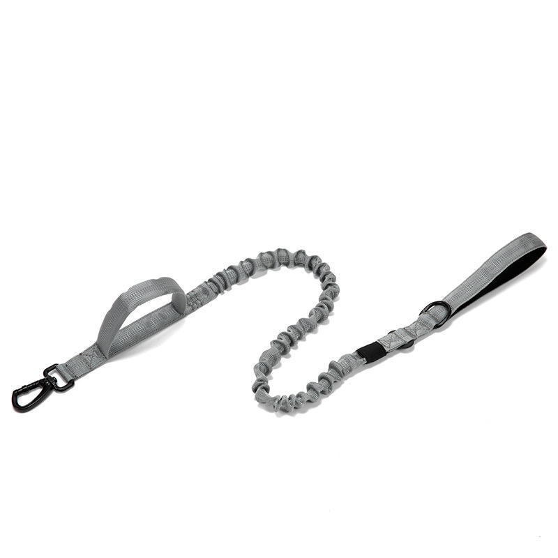 Gray-Leash