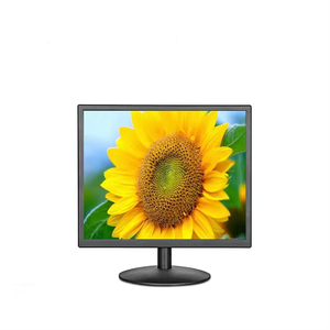 15 Inch IPS LCD <strong>Monitor</strong> with VGA <strong>Input</strong> 4:3 Ratio 60Hz Refresh Rate DC 12V for Computer Free Custom Logo New Product