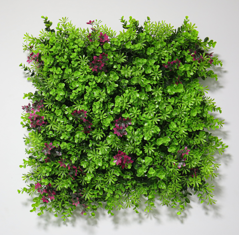 Grass
