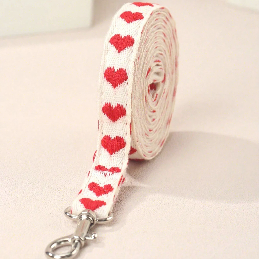 Red pet leash