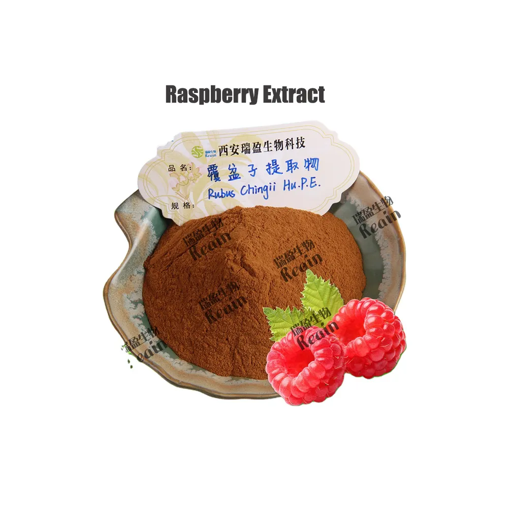 Fructus Rubi Palmleaf Raspberry Fruit Herbal Raspberry Extract
