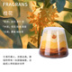 Osmanthus au coucher du soleil