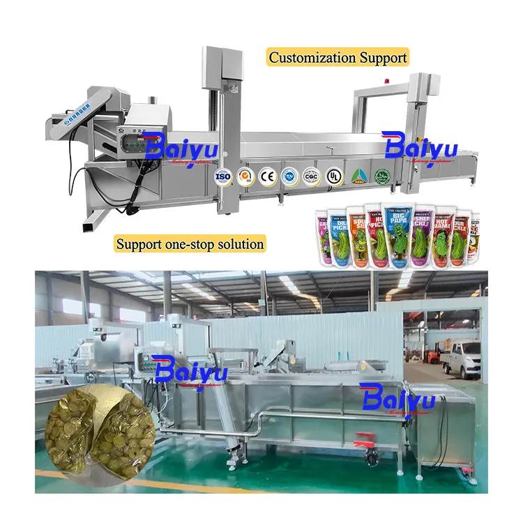 Máquina pasteurizadora de alimentos Baiyu, pasturización de baño de agua para botellas, encurtidos, pepinos y otros alimentos