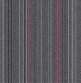 Gris11