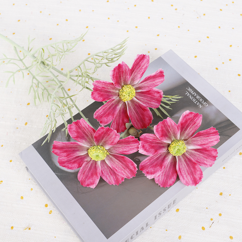 กุหลาบแดง